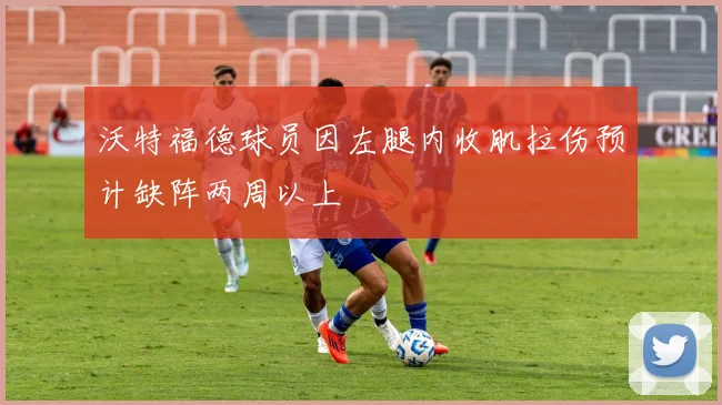 沃特福德球员因左腿内收肌拉伤预计缺阵两周以上