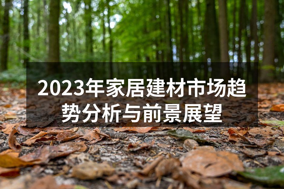 2023年家居建材市场趋势分析与前景展望